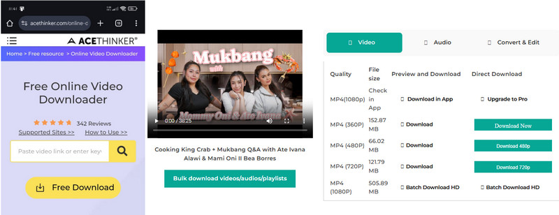 ace online video downloader homepage