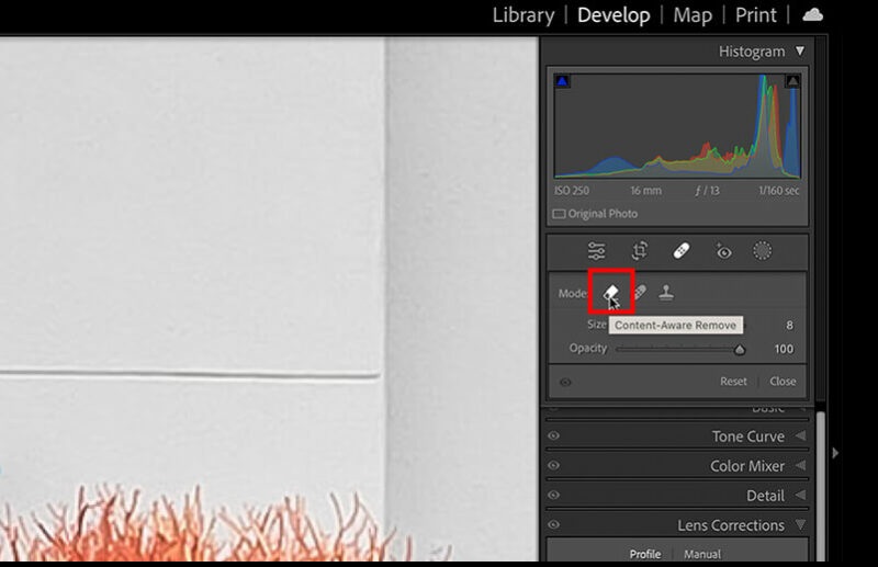 remove objects in lightroom using the content aware tool