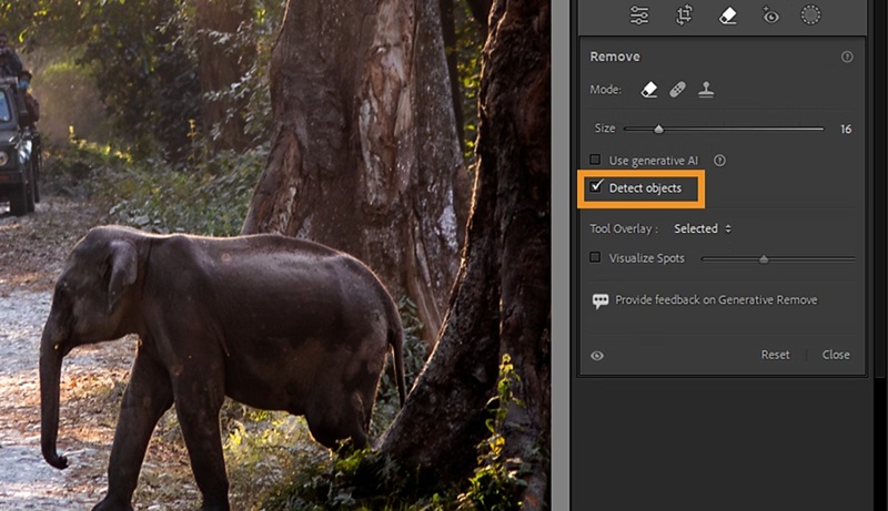 remove objects in lightroom using the detect objects tool