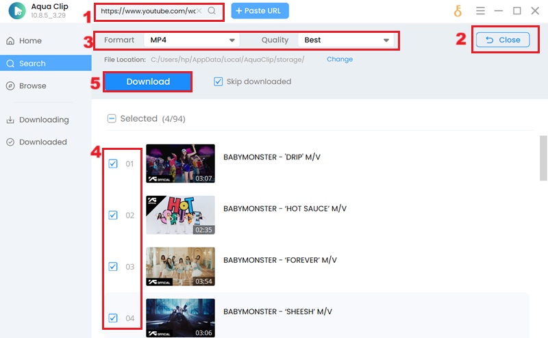 download youtube playlist download playlist