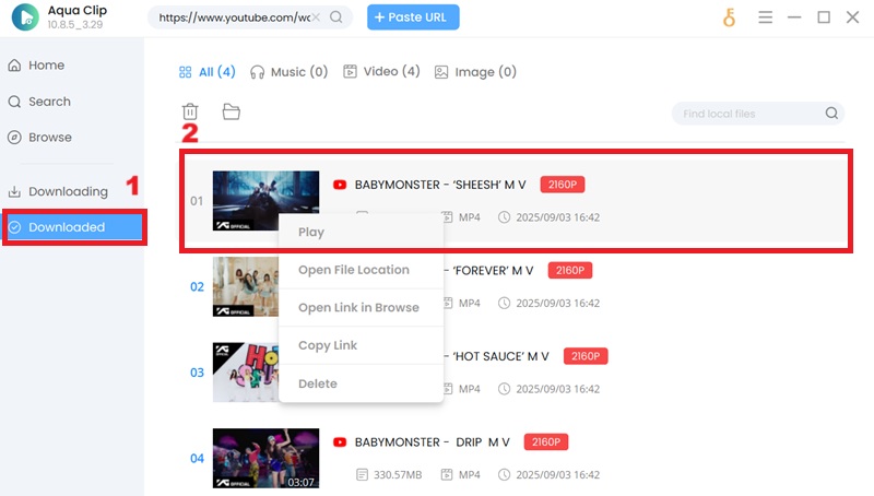download youtube playlist play