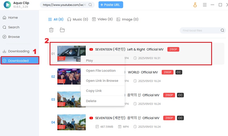 play downloaded video