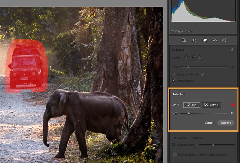 remove objects in lightroom using the generative remove tool