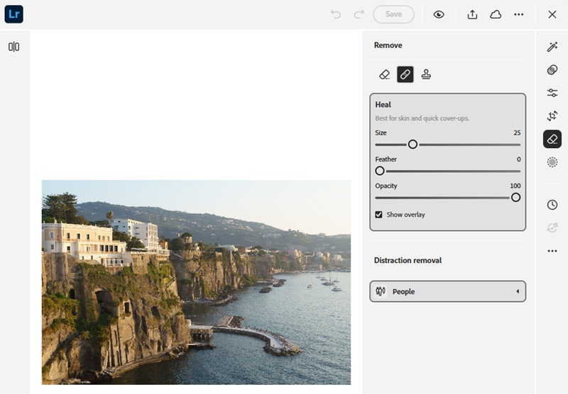 spot removal tool interface