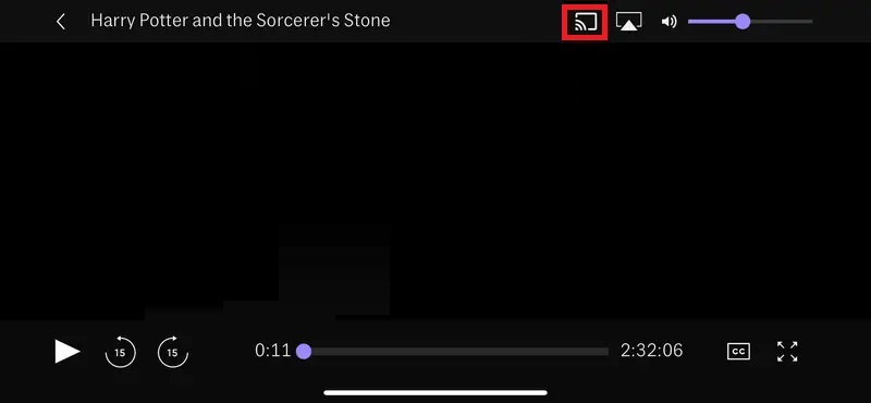 cast max with chromecast
