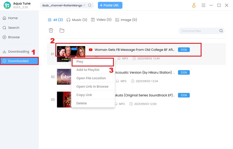 play downloaded file