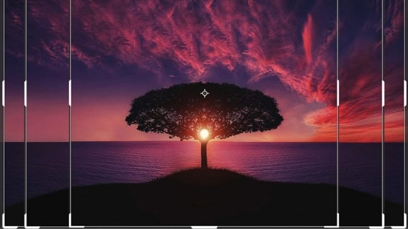 aspect ratio of 5 x 7 photo