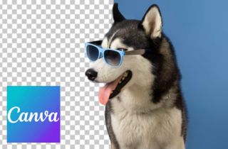 featured image remove background in canva