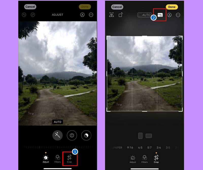 access the crop option