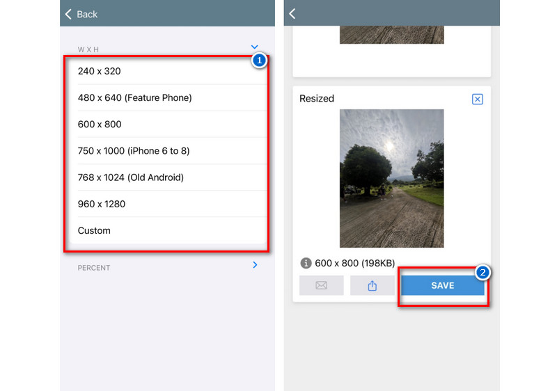 save the output image