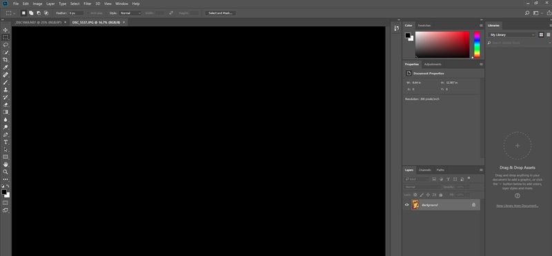 download and launch photoshop