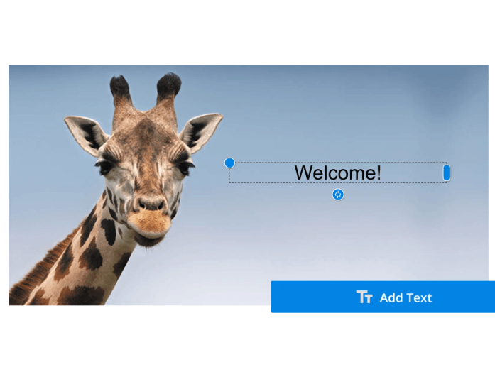 perfect for any image