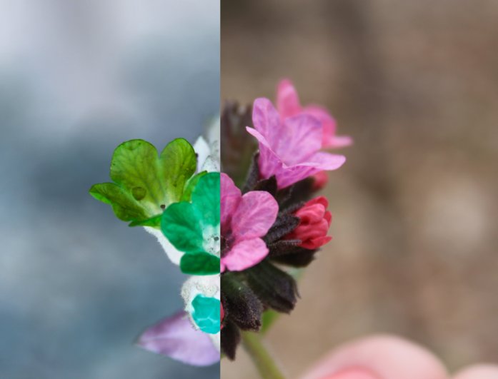 adjustable brightness and contrast after conversion