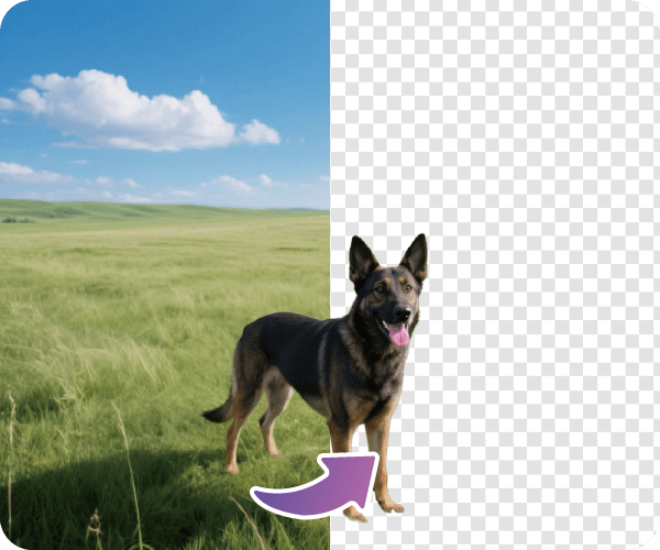 keep details sharp in hd