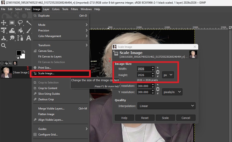 set the new image size in gimp