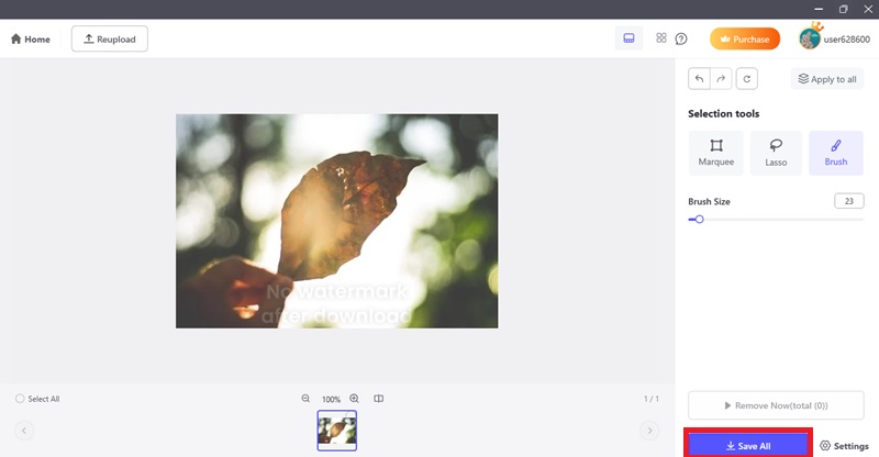 save the edited glare