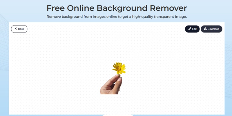 let the ai do its magic