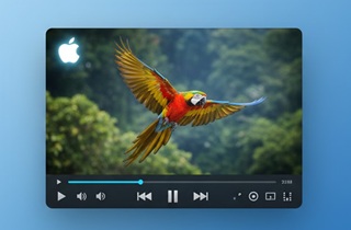 best video player for mac
