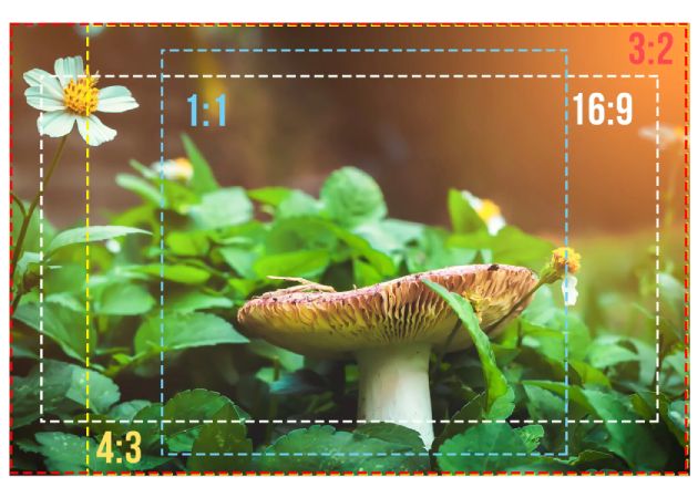 export in different aspect ratios