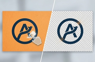 remove background from logo