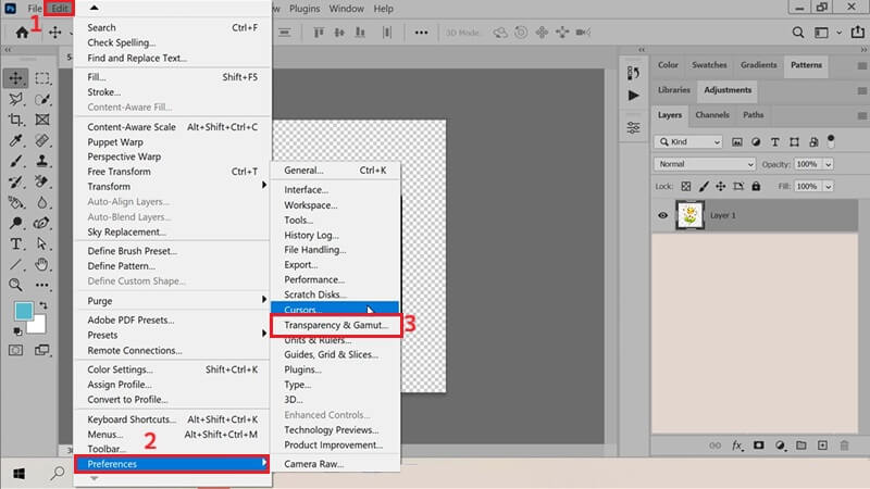 access transparency settings